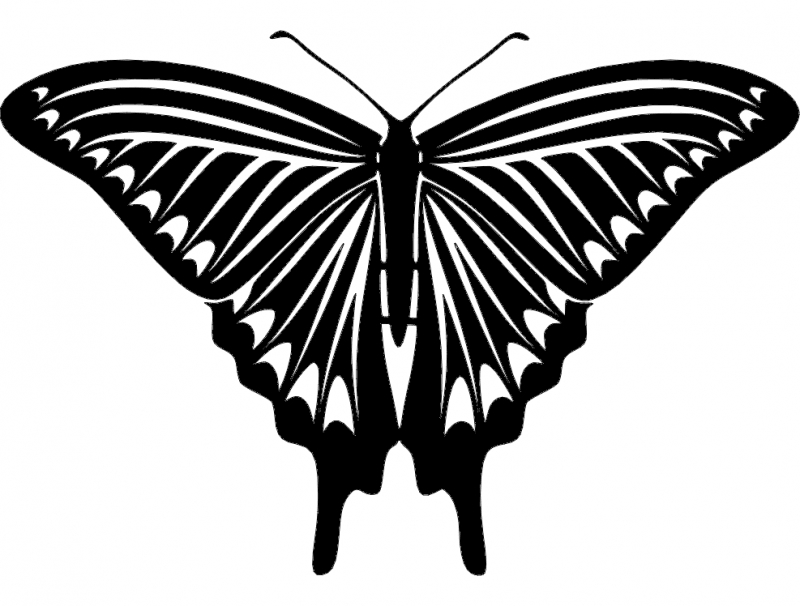 طرح پروانه شماره ۰۴ مناسب برای استفاده در دستگاه های cnc چوب و cnc لیزر - butterfly 04 dxf file