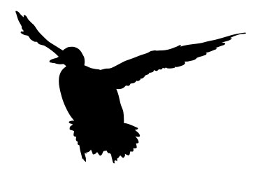 طرح اردک سرسبز مناسب برای استفاده در دستگاه های cnc چوب و cnc لیزر - mallard duck dxf file