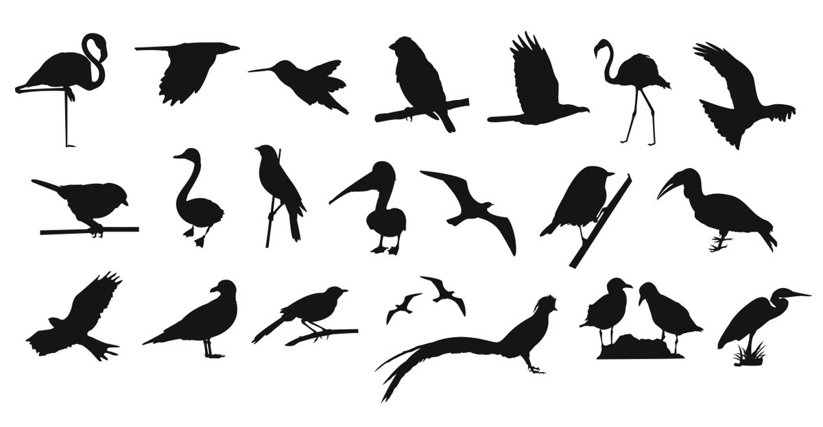 طرح مجموعه پرندگان مناسب برای استفاده در دستگاه های cnc چوب و cnc لیزر - collection of birds cdr file