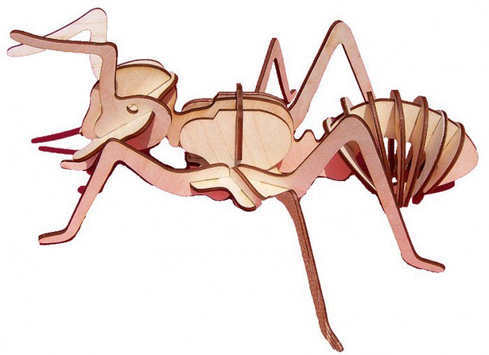 طرح حشره مورچه مناسب برای استفاده در دستگاه های cnc چوب و cnc لیزر - laser cut insect ant cdr file