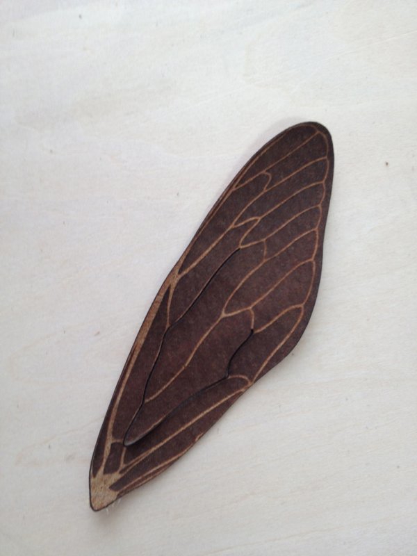 طرح بوک مارک چرم با طرح بال جیرجیرک مناسب برای استفاده در دستگاه های cnc چوب و cnc لیزر - laser cut leather cicada wing bookmark cdr file