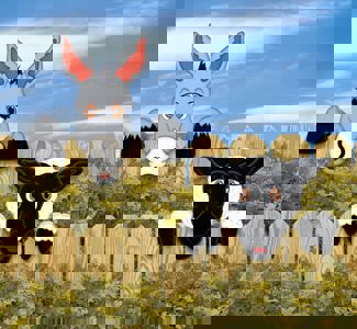 طرح برش نرده خر و گوسفند برای لیزر برش مناسب برای استفاده در دستگاه های cnc چوب و cnc لیزر - laser cut donkey sheep fence peekers fence art cdr file