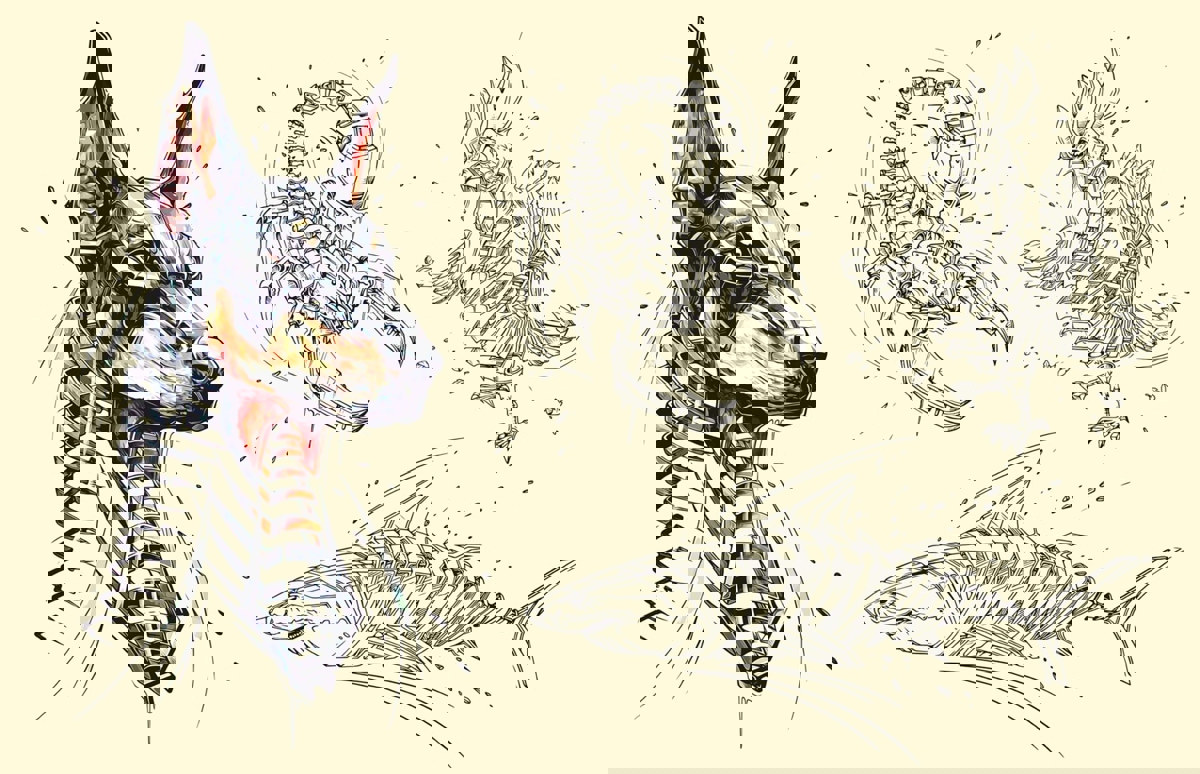 طرح حیوانات تکنو مناسب برای استفاده در دستگاه های cnc چوب و cnc لیزر - techno animals cdr file