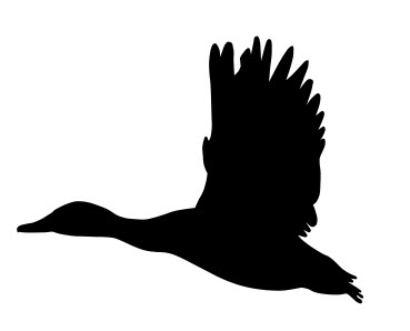 طرح شبح اردک سرسبز در حال پرواز مناسب برای استفاده در دستگاه های cnc چوب و cnc لیزر - mallard duck flying silhouette dxf file