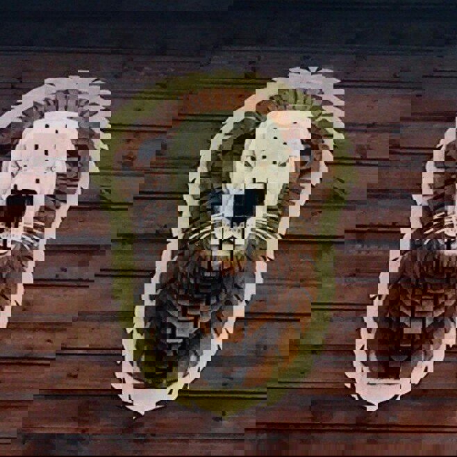 طرح دکور دیواری سر شیر مناسب برای استفاده در دستگاه های cnc چوب و cnc لیزر - laser cut lion head wall decor