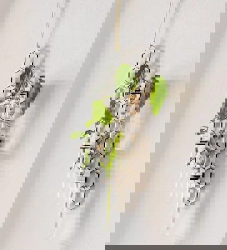 طرح ایستگاه تکثیر لانه زنبوری آویز مناسب برای استفاده در دستگاه های cnc چوب و cnc لیزر - laser cut hanging honeycomb propagation station