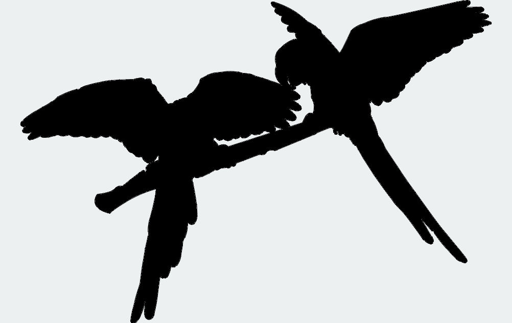 طرح جفت طوطی یک مناسب برای استفاده در دستگاه های cnc چوب و cnc لیزر - parrot pair one dxf file