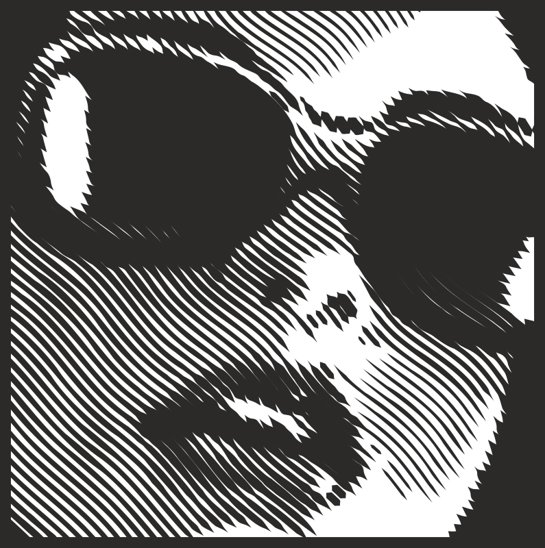 طرح برچسب دیواری خطای دید چهره زن مناسب برای استفاده در دستگاه های cnc چوب و cnc لیزر - womans face optical illusion wall stickers cdr file