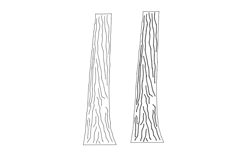 طرح تنه درخت مناسب برای استفاده در دستگاه های cnc چوب و cnc لیزر - tree trunk dxf file