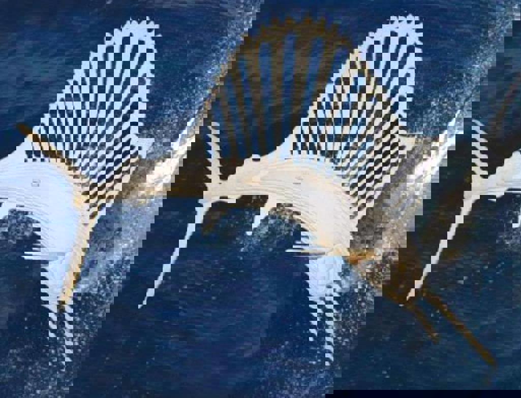 طرح مرلین مناسب برای استفاده در دستگاه های cnc چوب و cnc لیزر - merlin dxf file