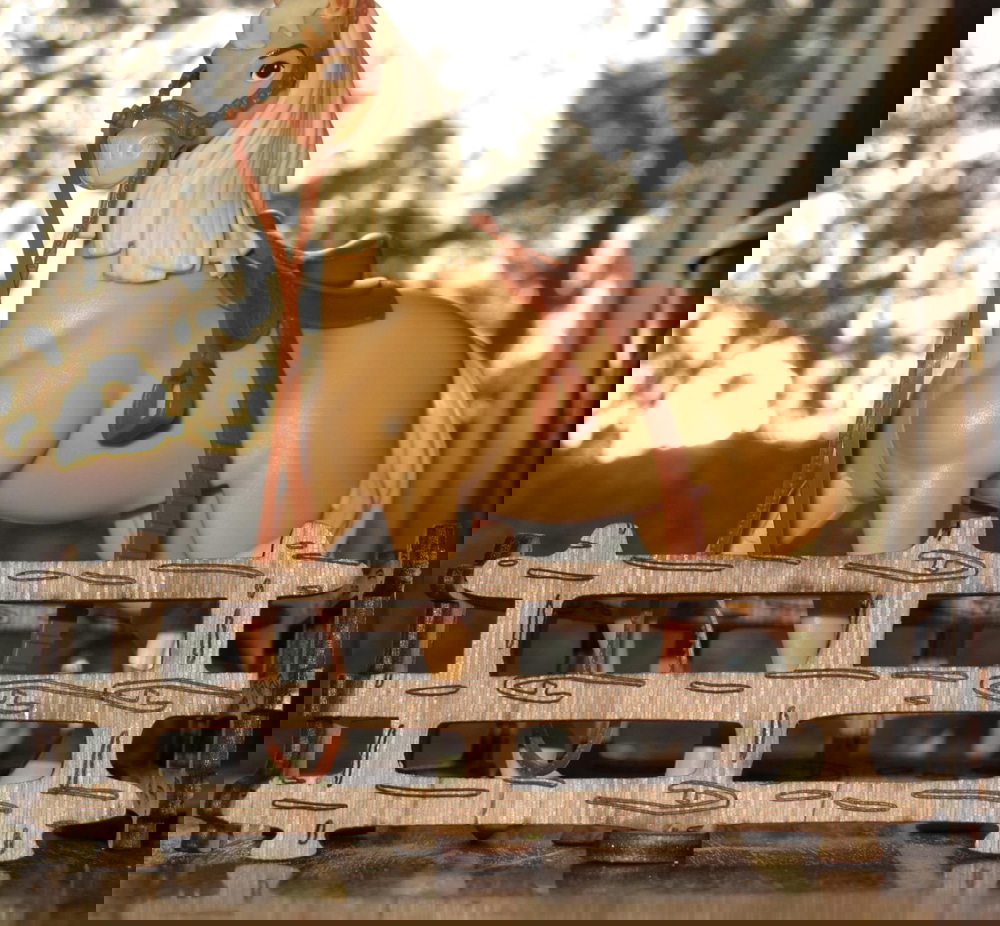 طرح حصار اسباب بازی اصطبل اسب شماره ۴ تخته سه لا ۵۵ میلی متری مناسب برای استفاده در دستگاه های cnc چوب و cnc لیزر - laser cut horse stable toy fence 4 55mm plywood cdr file