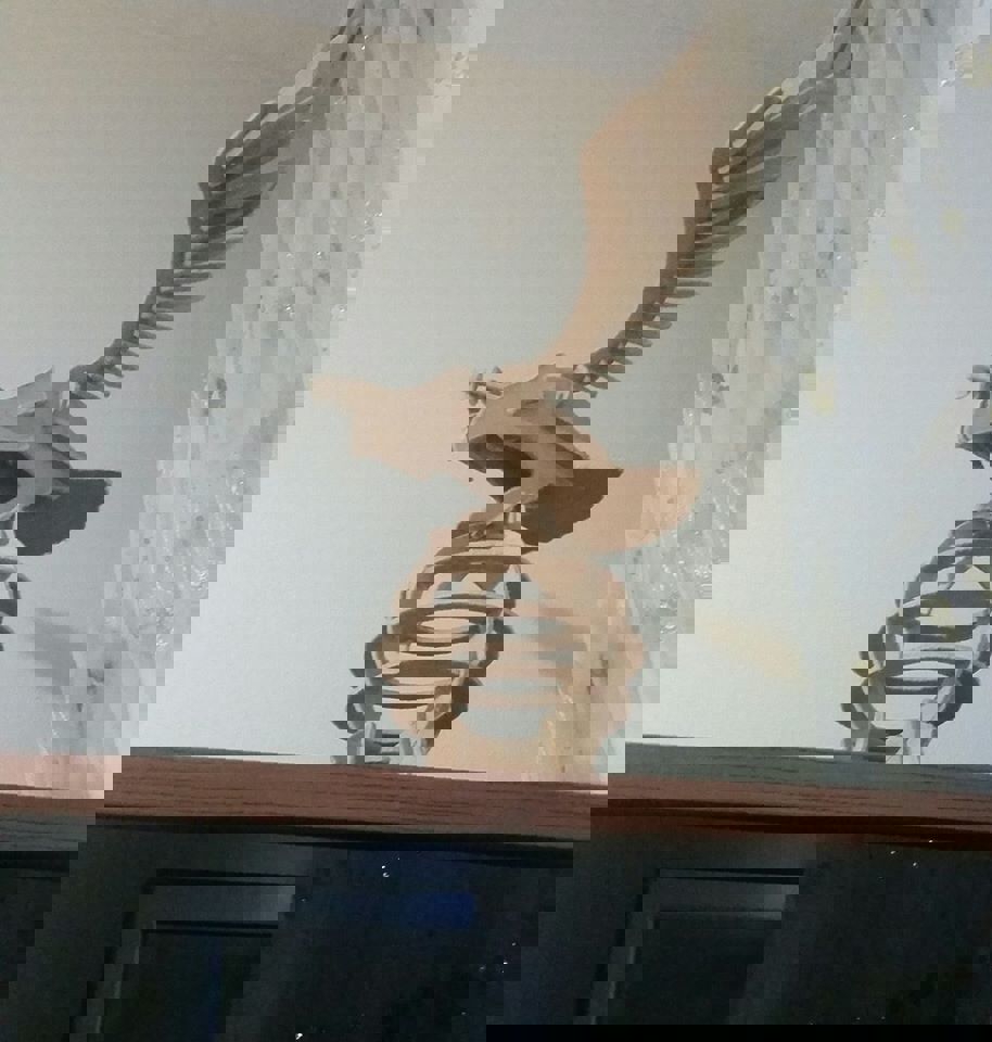 طرح مدل عقاب کارتال مناسب برای استفاده در دستگاه های cnc چوب و cnc لیزر - maket kartal eagle model dxf file