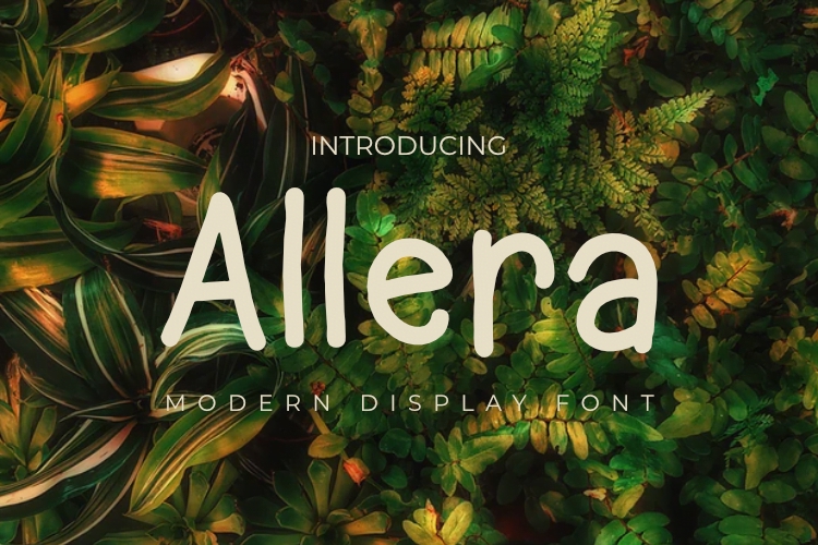 فایل فونت نمایش آلرا - Allera Display Font