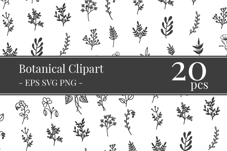 فایل مجموعه کلیپ‌آرت وکتورهای گیاه‌شناسی - Botanical Vectors Clipart Bundle