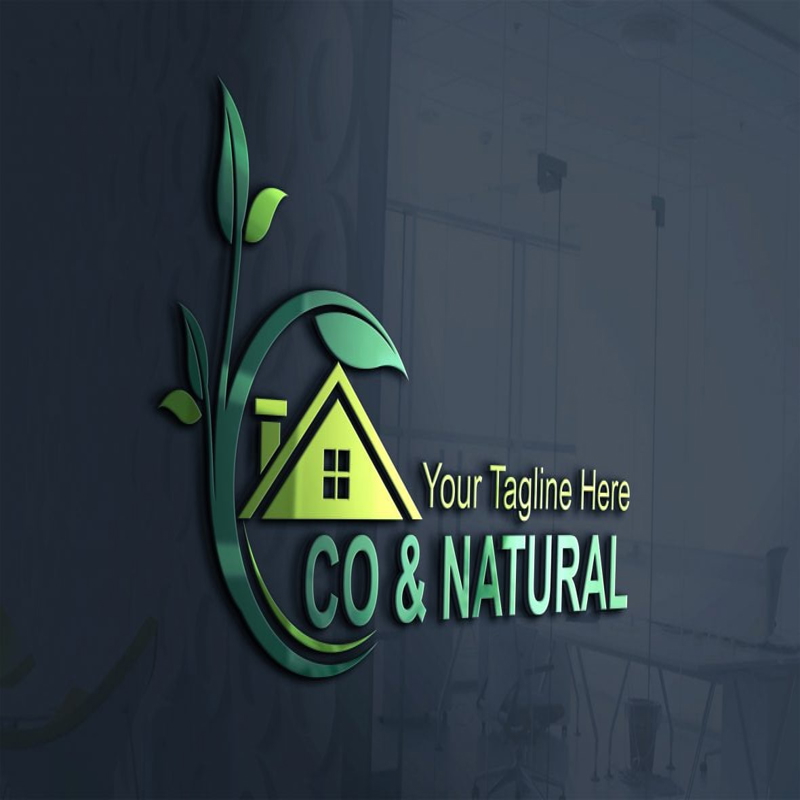 فایل طرح PSD لایه باز لوگو و نماد شرکت اکونومیست - Eco and Nature House Logo Design PSD