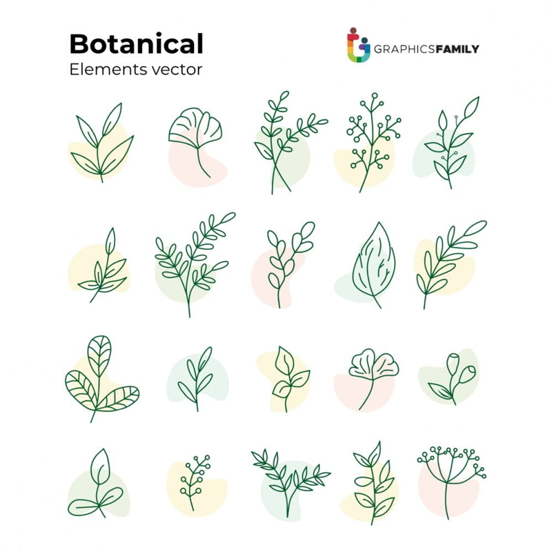 فایل مجموعه ای از عناصر گیاهی دست کشیده شده وکتور - Set of Hand Drawn Botanical Elements Vector