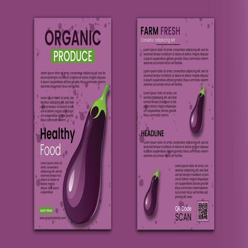 فایل قالب بروشور یا بروشور شیک مزرعه تازه - Stylish farm fresh flyer template or brochure vector image