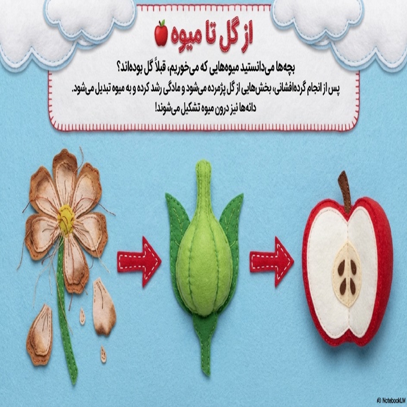 درسنامه و کاربرگ خود آموز کتاب های ابتدایی - درس 12 علوم چهارم